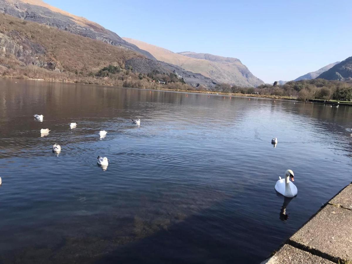 Llanberis Lodges Экстерьер фото